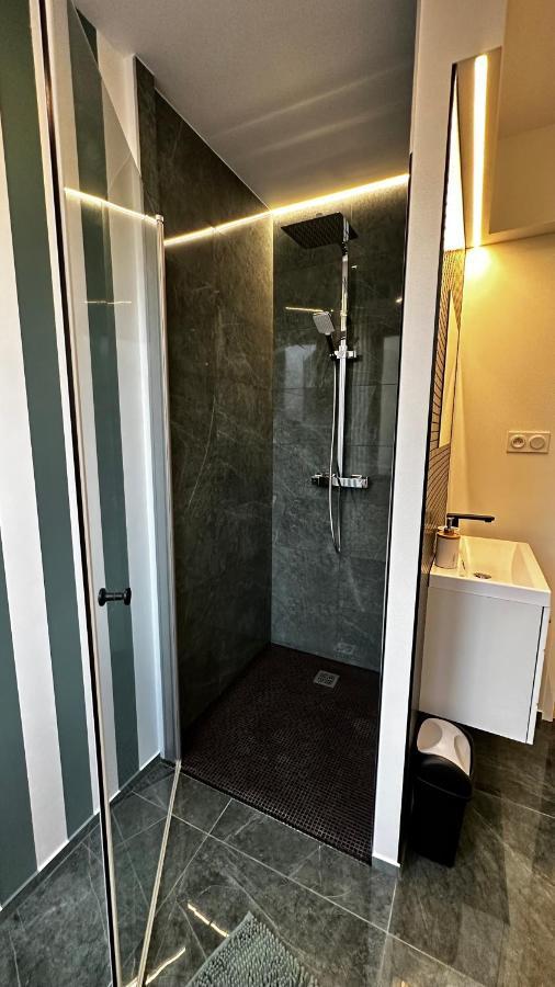 Katrine Appartement Saint-Etienne  Buitenkant foto